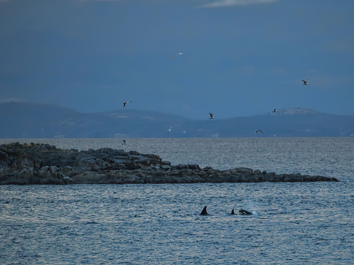 Nanoose Bay