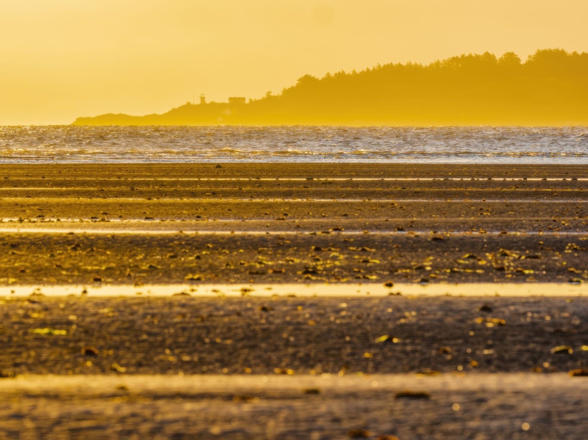 Tofino