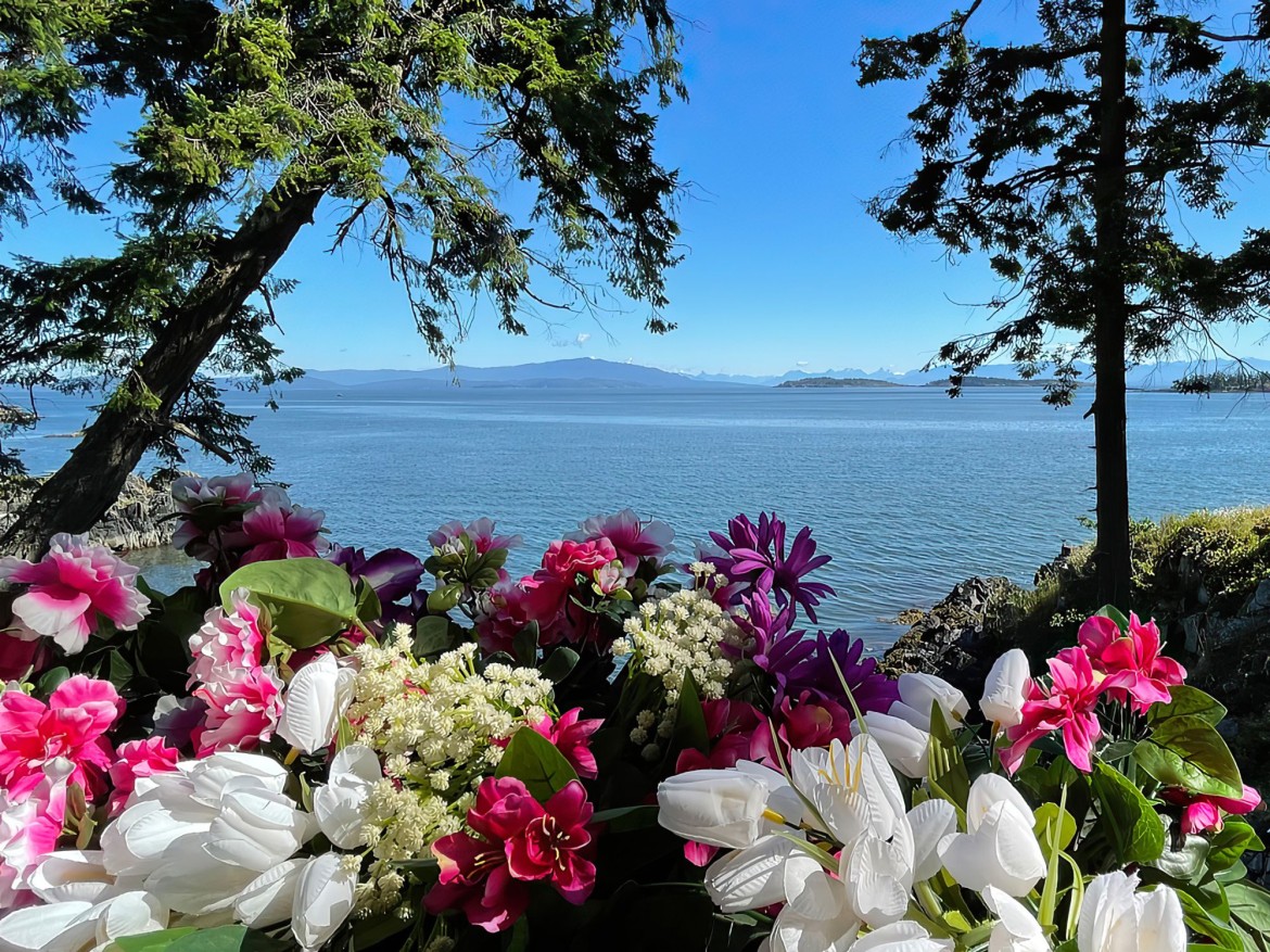 Nanoose Bay vista