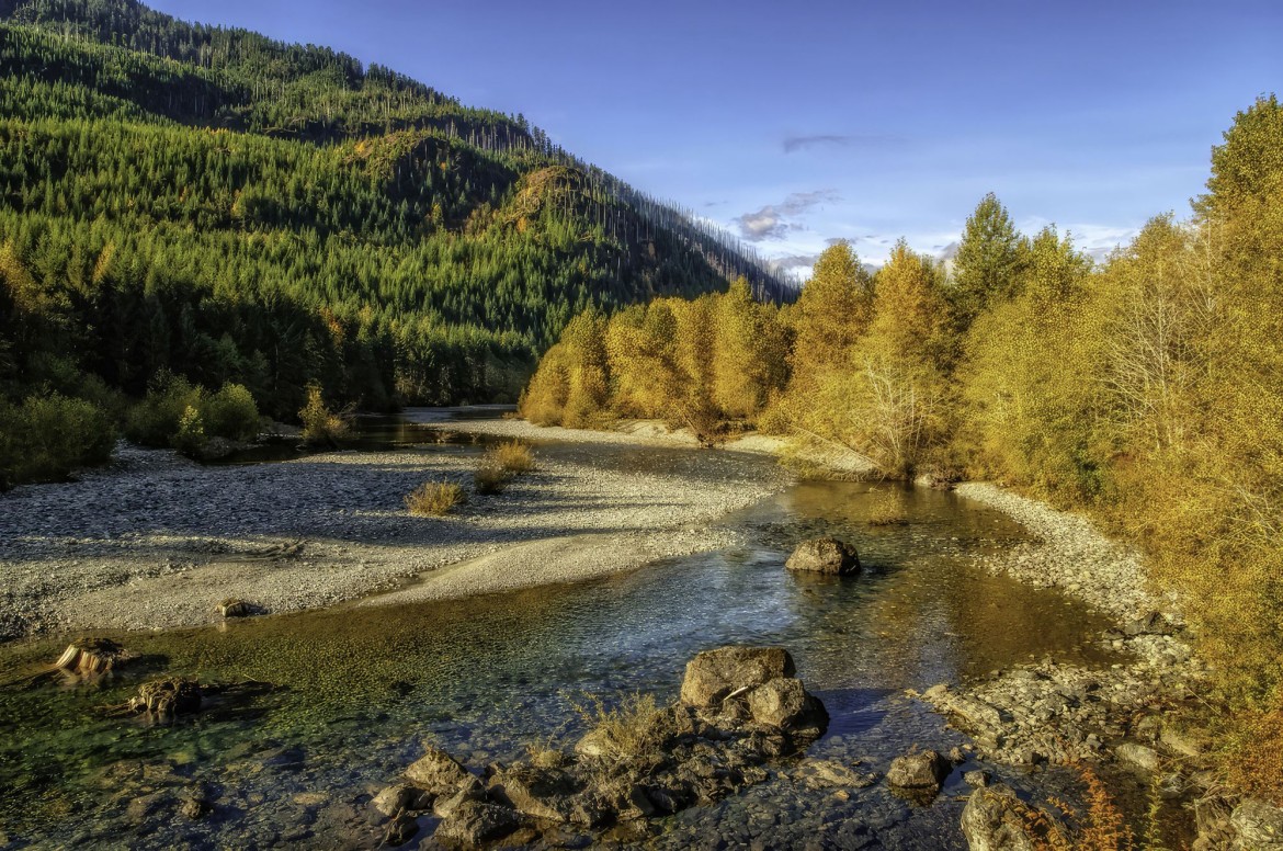 Fall colours on Vancouver Island