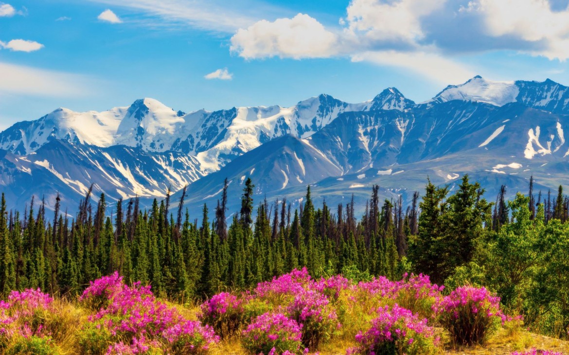 The Canadian North