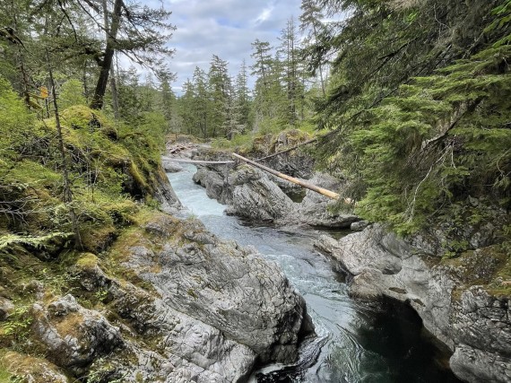 Little Qualicum Falls